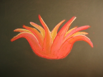 geissblatt